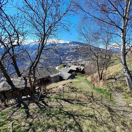 Apartment De Sur La Rive Droite Du Val D'herens